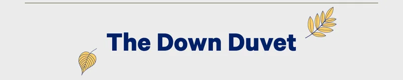 The Down Duvet
