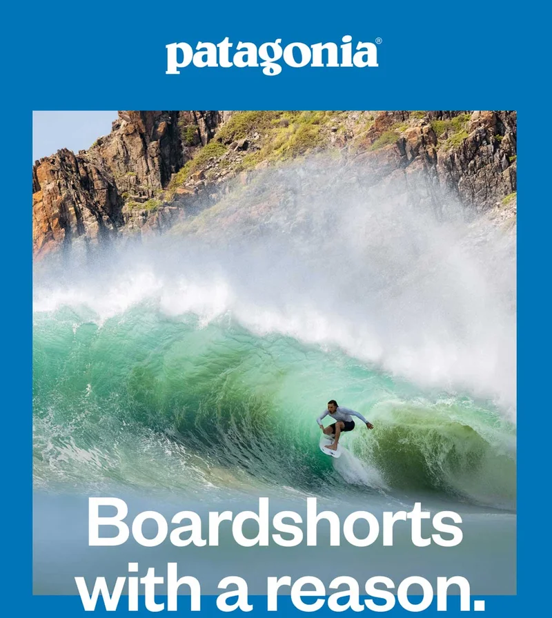 Patagonia. Boardshorts with a reason.