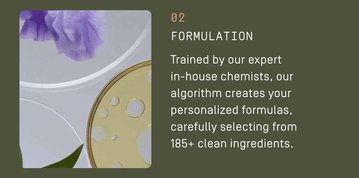 2. Formulation