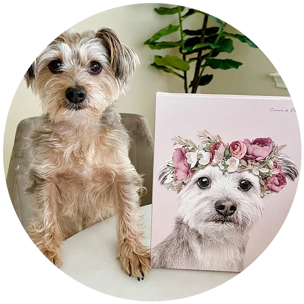 Floral Crown Pet Portrait - 25% Off. Buy Now.
