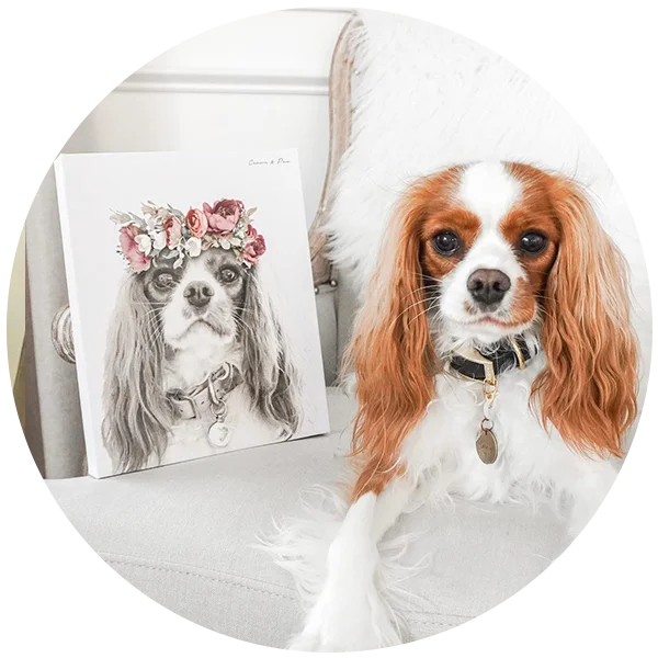 Floral Crown Pet Portrait - 25% Off. Buy Now.