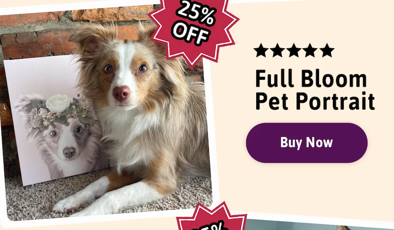 Full Bloom Pet Portrait - 25% Off. Buy Now.