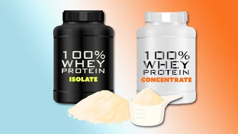 Image may contain: whey protein isolate vs concentrate, Powder, Bottle, and Shaker