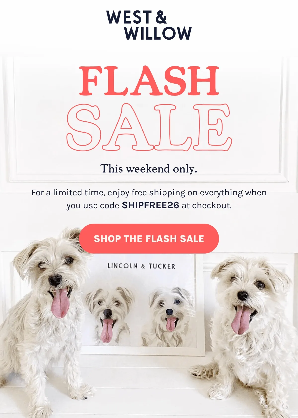 Shop The Flash Sale