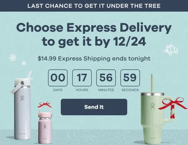 LAST CHANCE TO GET IT UNDER THE TREE. Choose Express Delivery to get it by 12/24. $14.99 Express Shipping ends tonight. | Send It