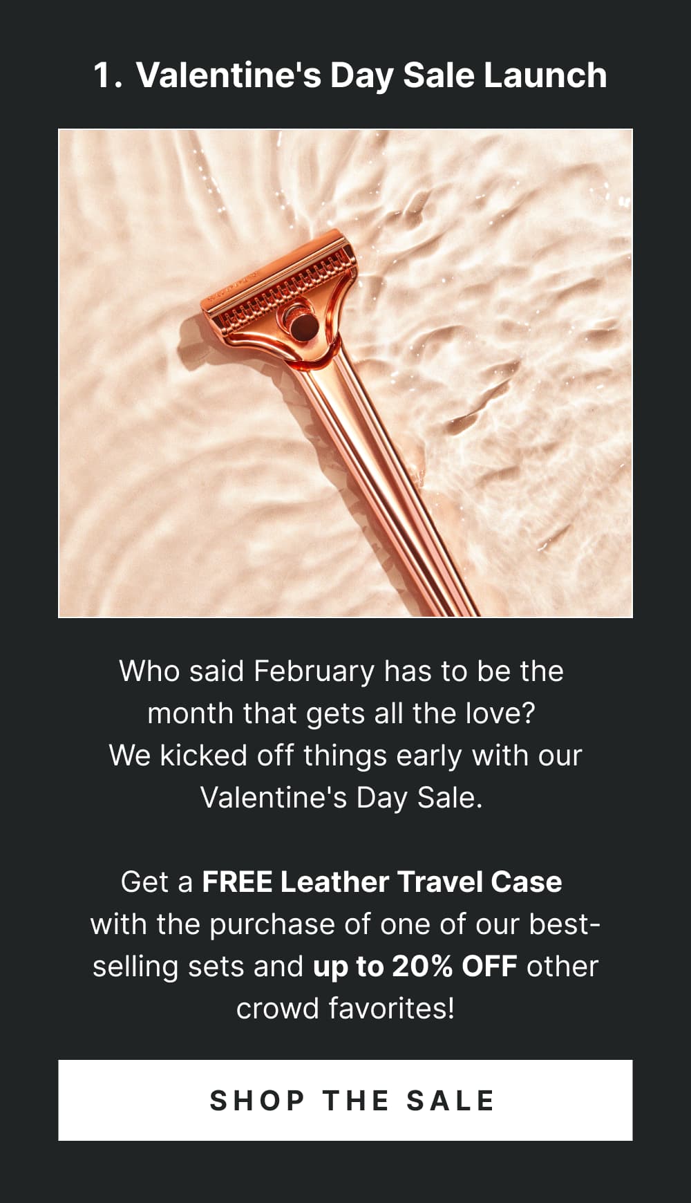 Valentine's Day Sale Launch  Who said February has to be the month that gets all the love? We kicked off things early with our Valentine's Day Sale.