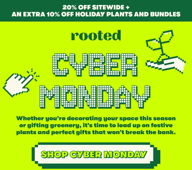 20% off sitewide + an EXTRA 10% off holiday plants and bundles CYBER MONDAY Whether you’re decorating your space this season or gifting greenery, it’s time to load up on festive plants and perfect gifts that won’t break the bank. [SHOP CYBER MONDAY]