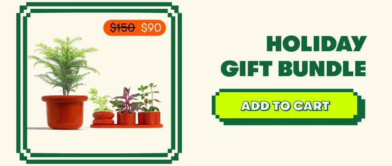 Holiday Gift Bundle [ADD TO CART]