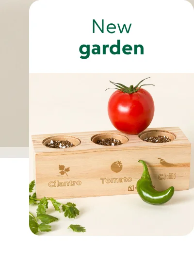 New garden
