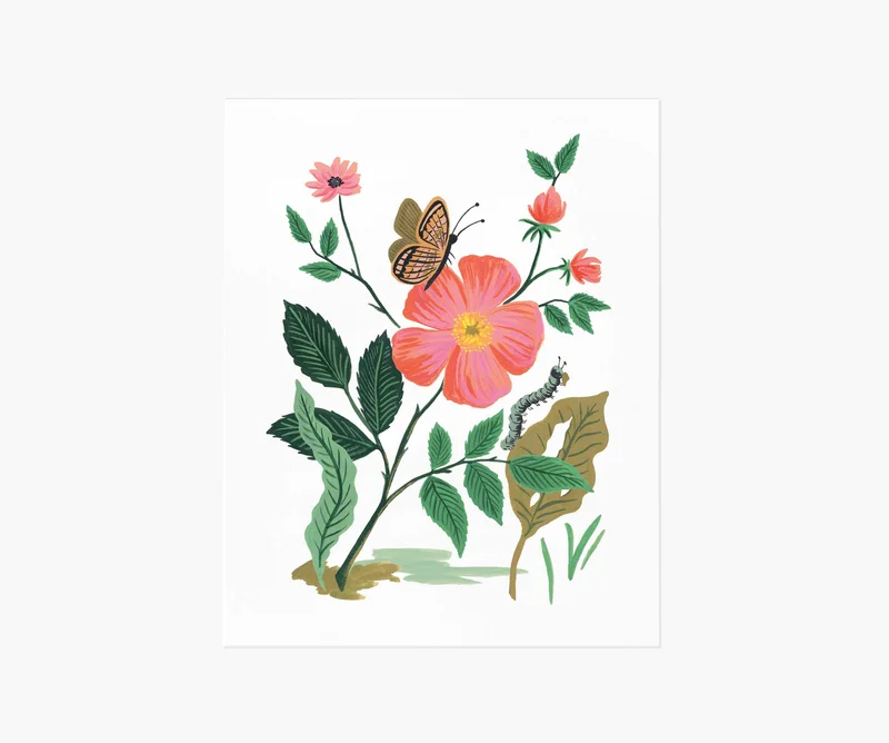 Image of Garden Rose Art Print