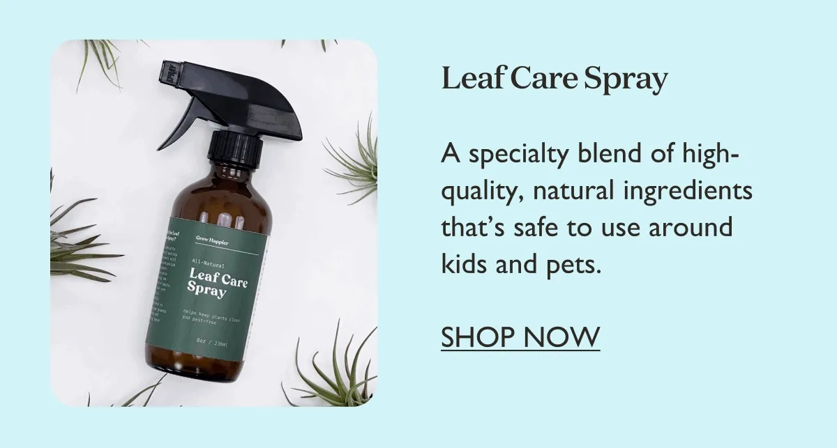 Leaf Care Spray: A specialty blend of high-quality, natural ingredients.