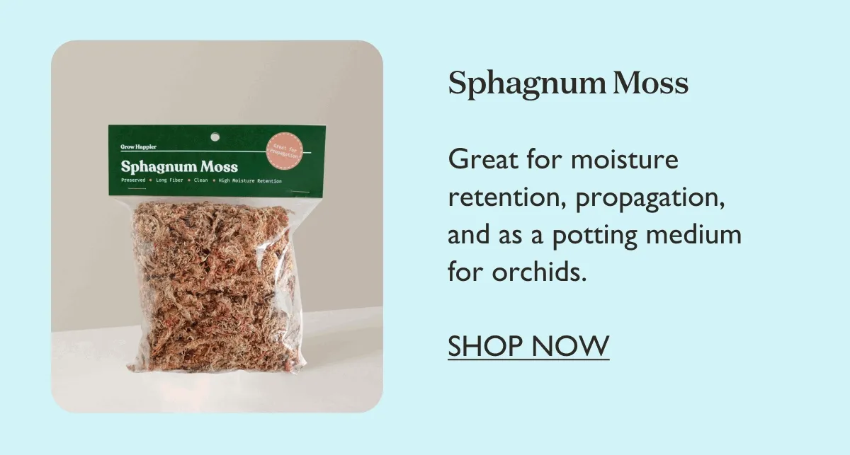 Sphagnum Moss: Great for moisture retention, propagation, and more.