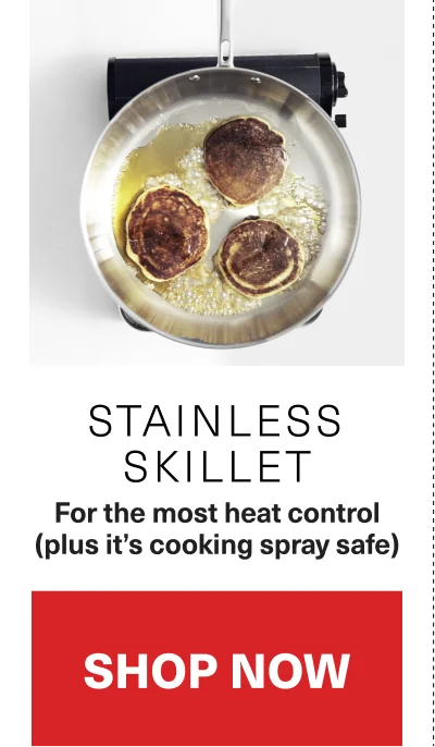 Stainless Skillet
