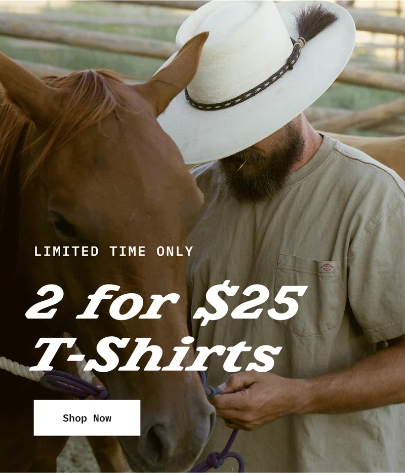 LIMITED TIME ONLY: 2 for $25 Work T-Shirts. Shop Now.