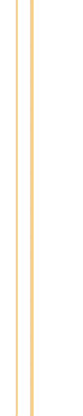 Column 2D