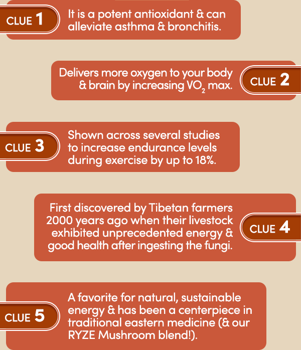 Clue 1: It is a potent antioxidant and can alleviate asthma & bronchitis. Clue 2: Increases VO2 max, delivering more oxygen to your body and brain. Clue 3: Shown across several studies to increase endurance levels during exercise by up to 18%. Clue 4: First discovered by Tibetan farmers 2000 years ago when their livestock exhibited unprecedented energy and good health after ingesting the fungi. Clue 5: A favorite for natural, sustainable energy and has been a centerpiece in traditional eastern medicine (and our RYZE Mushroom blend!).