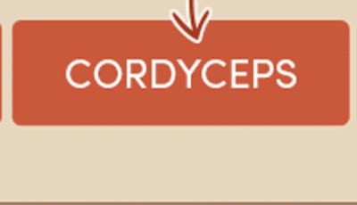 Cordyceps