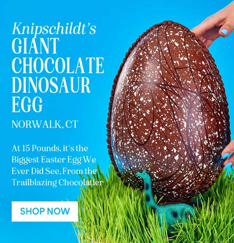 dino egg dino egg