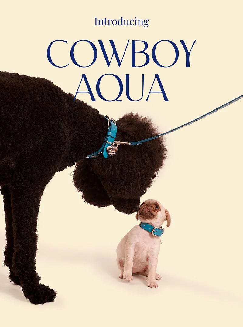 Introducing Cowboy Aqua