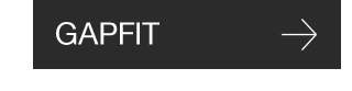 GAPFIT