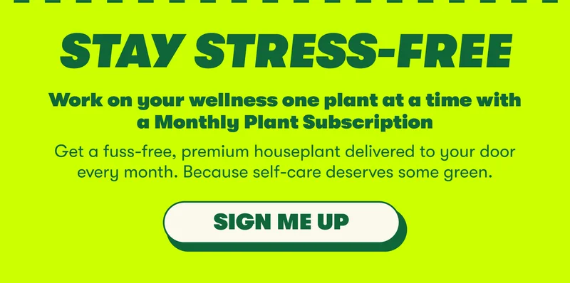 STAY STRESS-FREE Work on your wellness one plant at a time with a Monthly Plant Subscription Get a fuss-free, premium houseplant delivered to your door every month. Because self-care deserves some green. [SIGN ME UP]