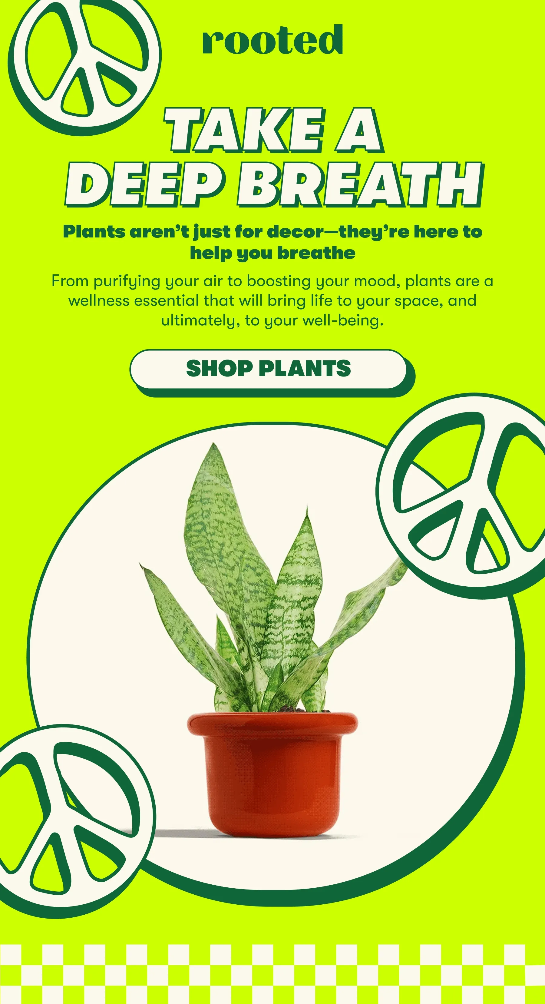 TAKE A DEEP BREATH Plants aren’t just for decor—they’re here to help you breathe From purifying your air to boosting your mood, plants are a wellness essential that will bring life to your space, and ultimately, to your well-being. [SHOP PLANTS]