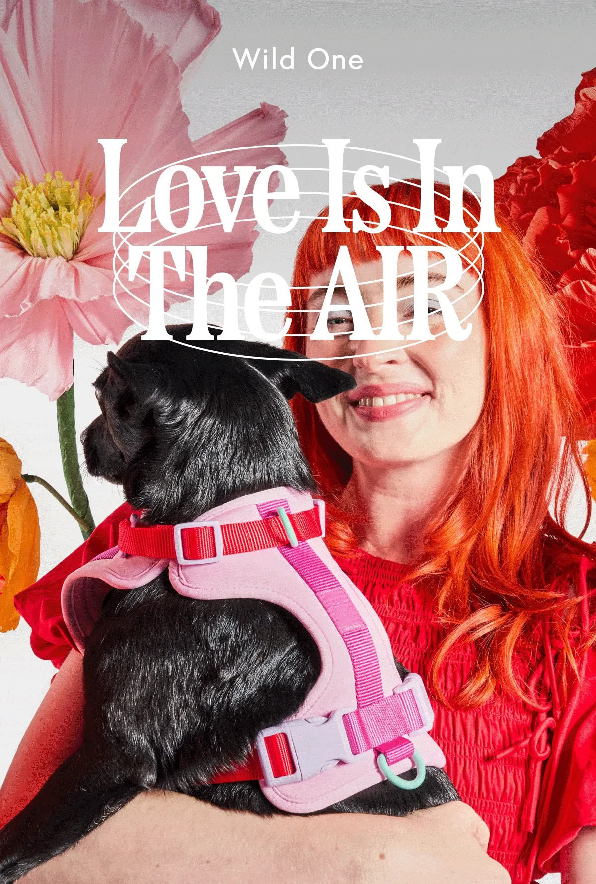 Love Is In The Air