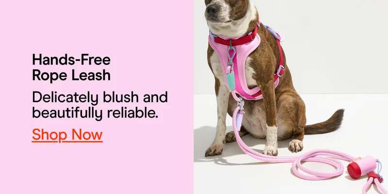 Hands-Free Rope Leash Delicately blush and beautifully reliable. Shop now