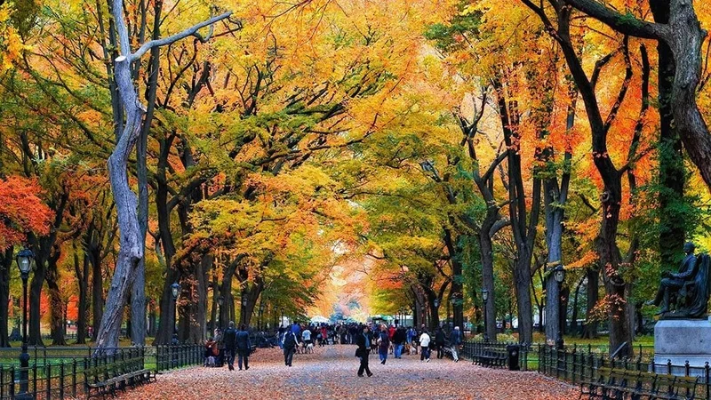 Image description: People walking in Central Park, in the fall.