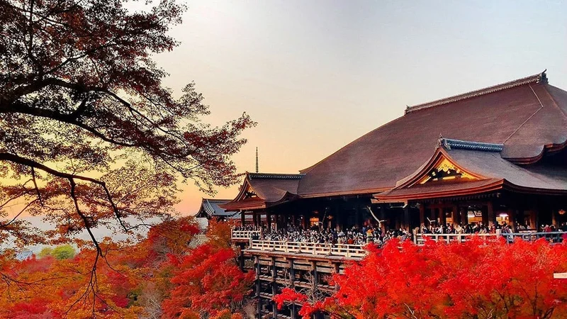 Image description: The Kiyomizu-dera Temple with red fall foliage.