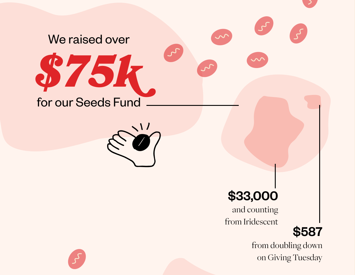 We raised over $75k for our Seeds Fund.  ($33,000 and counting from iridescent, $587 from doubling down on giving tuesday)