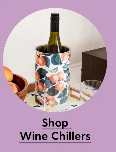 Shop Wine Chillers