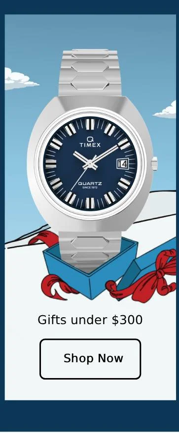 gifts under $300