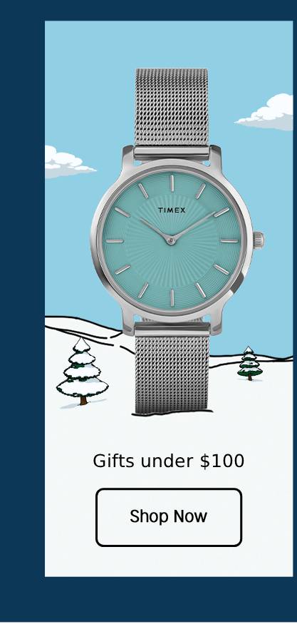 gifts under $100
