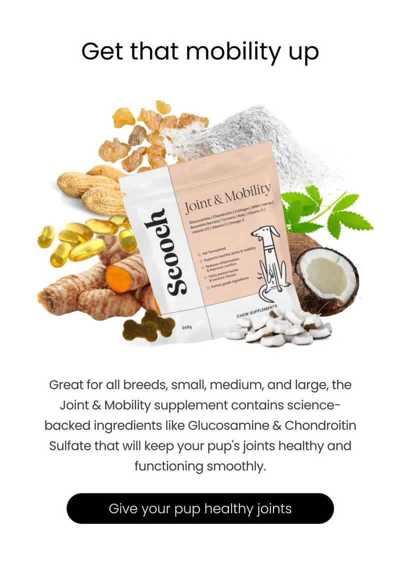 Get that mobility up - Shop Joint & Mobility