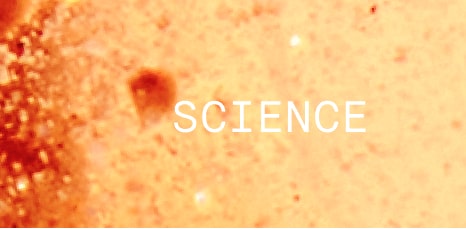 Soft orange background with light texture, featuring the word ‘SCIENCE’ in white uppercase letters centered.