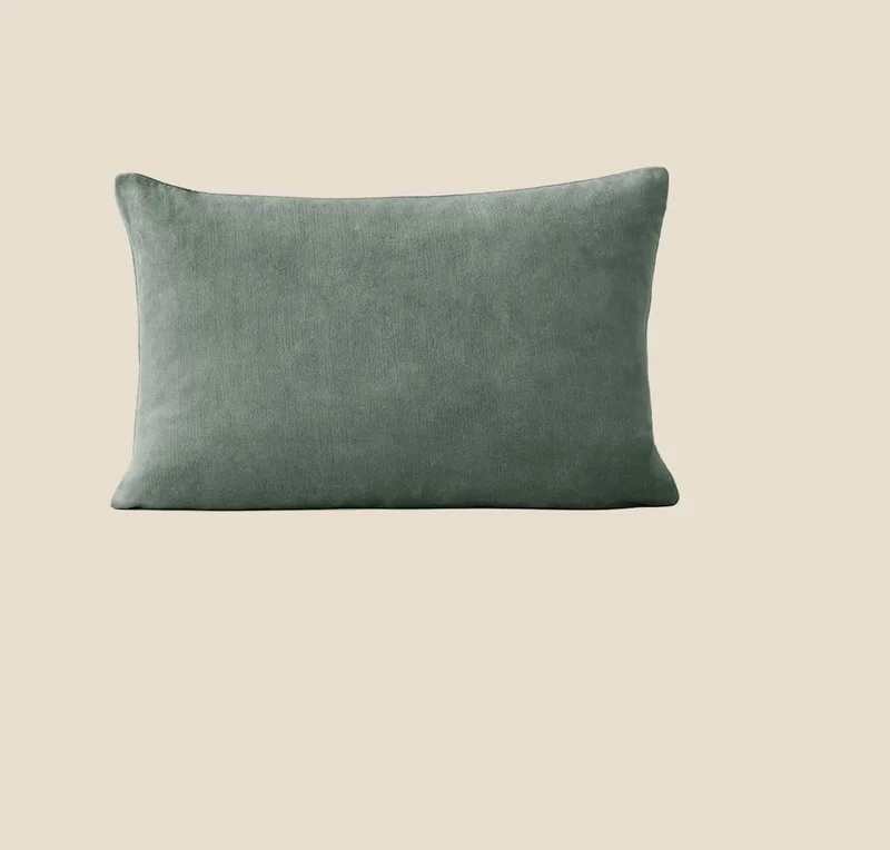 Shop Charlotte Velvet Pillow