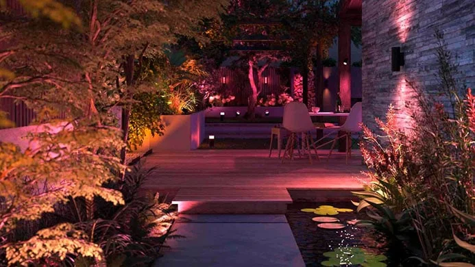 Glowing pathways