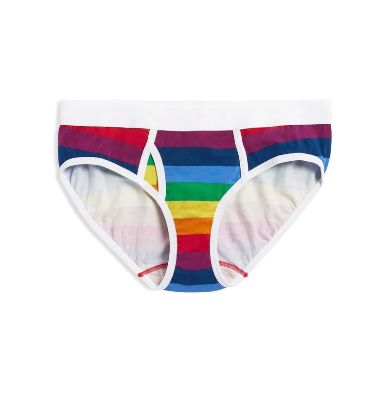 Image of Iconic Briefs - Rainbow Pride Stripes
