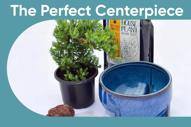 The Perfect Centerpiece