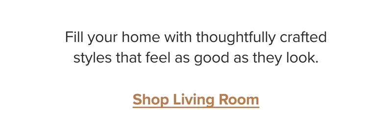Shop Living Room