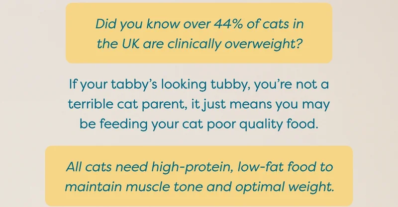 Did you know over 44% of cats in the UK are clinically overweight? If your tabby’s looking tubby, you’re not a terrible cat parent, it just means you may be feeding your cat poor quality food. All cats need&nbsp;high-protein, low-fat food to maintain muscle tone and optimal weight.