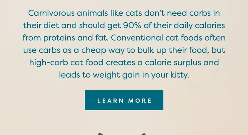 Carnivorous animals like cats&nbsp;don’t need carbs in their diet and should get 90% of their daily calories from proteins and fat. Conventional cat foods often use carbs as a cheap way to bulk up their food, but high-carb cat food creates a calorie surplus and leads to weight gain in your kitty.