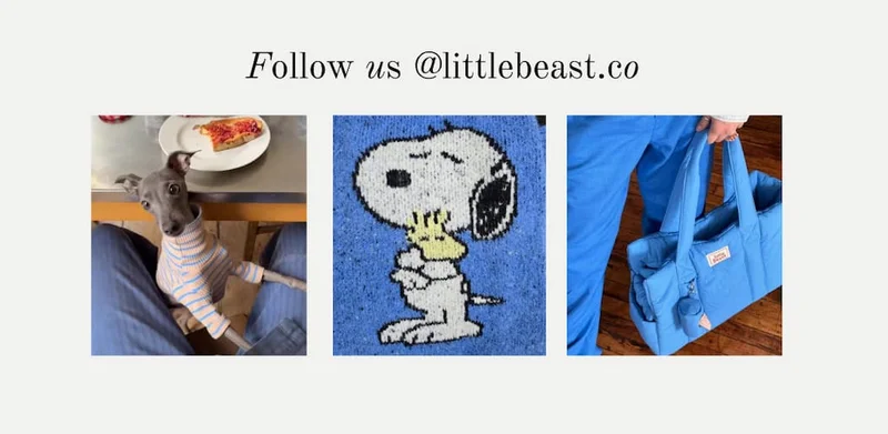 Follow us on Instagram