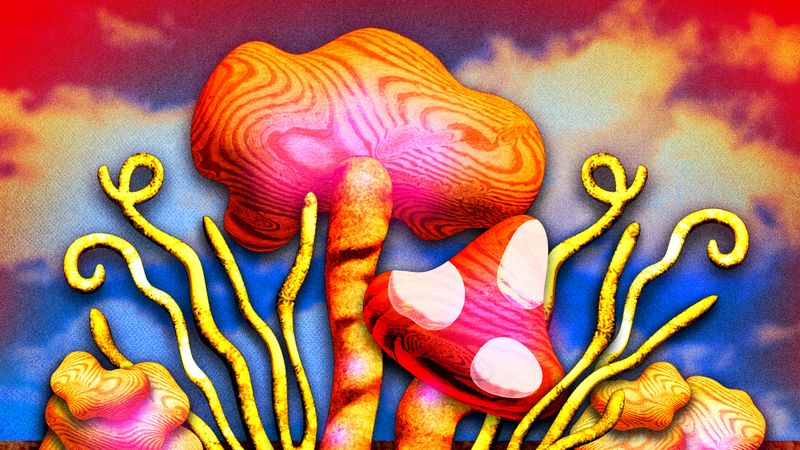 Image may contain: mushroom supplements, Art, and Modern Art