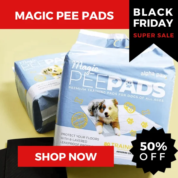 Early Black Friday Sale