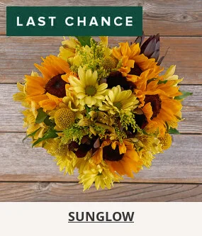 Flowers At a Great Price