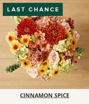 Flowers At a Great Price