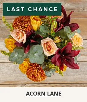 Flowers At a Great Price