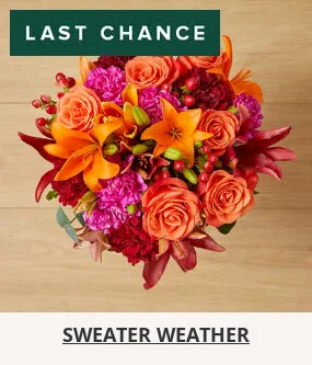 Flowers At a Great Price